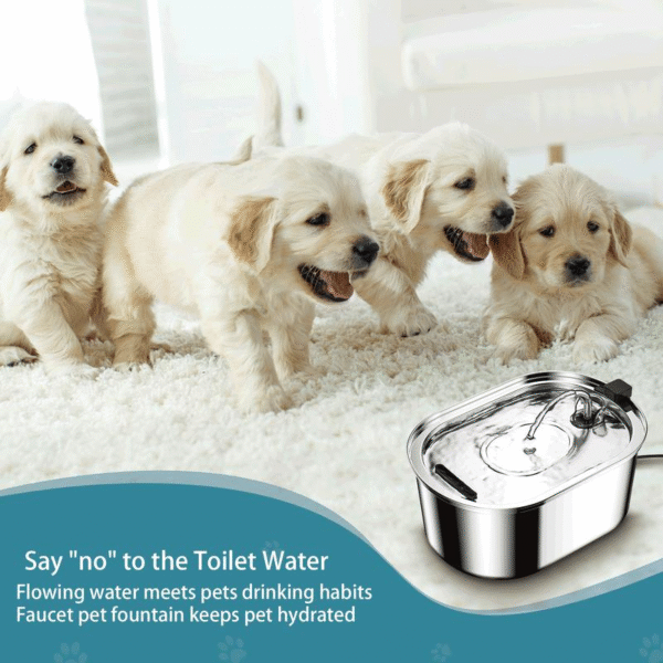 53c3d146a411730400c72b1068477e2d.png 3.2L Stainless Steel Pet Water Fountain